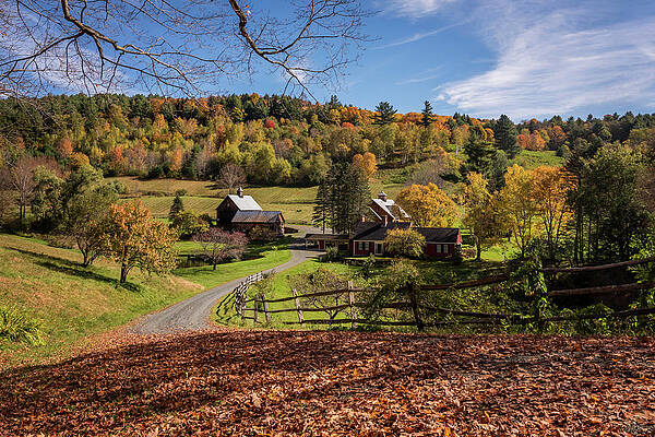 Autumn Sleepy Hollow Farm Vermont 2018 by Terry DeLuco Autumn Sleepy Hollow Farm Vermont 2018 by Terry DeLuco