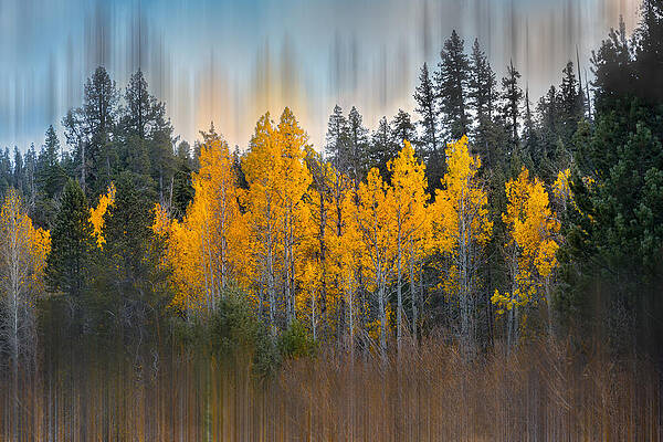 Wall Art - Photograph - Autumn by Sophia Li