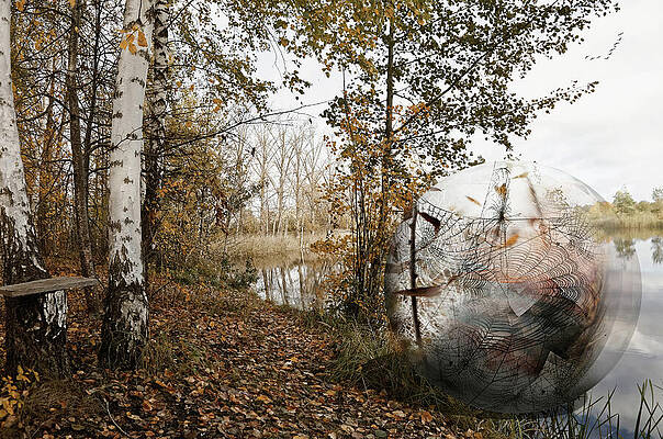 Autumnal/ Project Seasons by Aleksandrs Drozdovs Autumnal/ Project Seasons by Aleksandrs Drozdovs