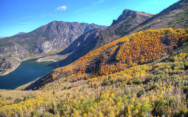 Awesome Autumn by David Levy Awesome Autumn by David Levy