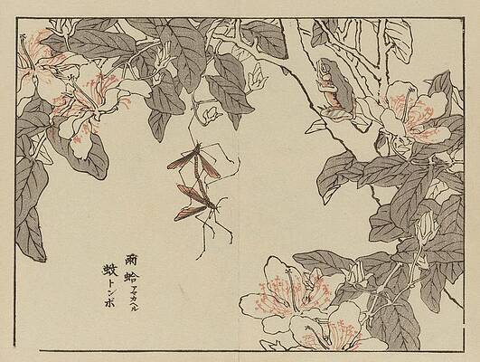 Wall Art - Painting - Bairei Gafu, Pl.53 by Kono Bairei