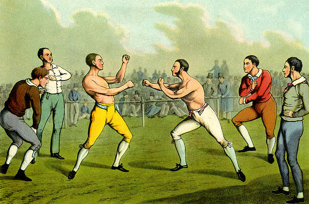 Боксерский рисунок - Бокс без костей Генри Томаса Алкена