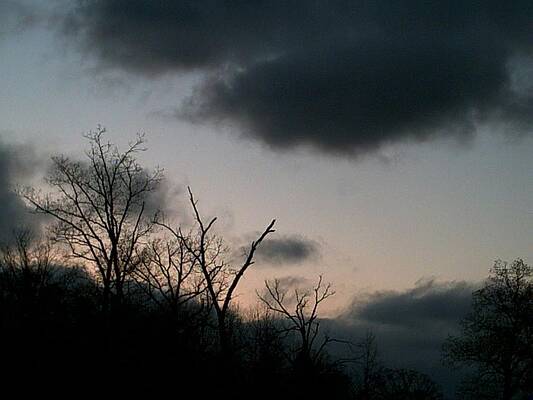 Barren by Jeff Thomann