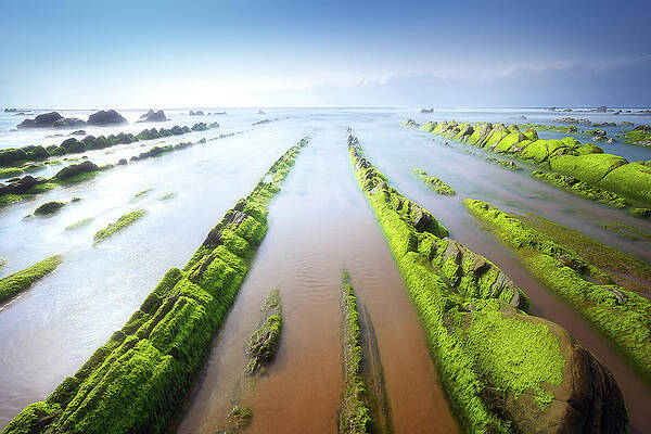Wall Art - Photograph - Barrika Naturally by Mikel Martinez de Osaba