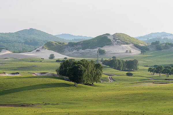 Wall Art - Photograph - Bashang Grassland With Scattered Trees And Forested Hills by Sylvain Cordier / Naturepl.com