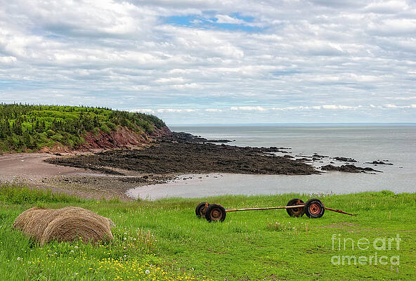 Wall Art - Photograph - Bay of Fundy by Lenore Locken