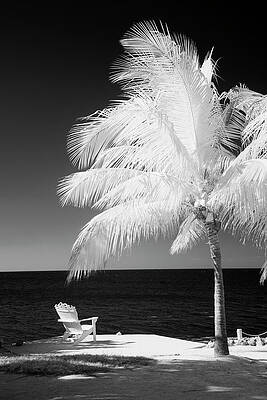 Wall Art - Photograph - Beach,black by Terry Eggers