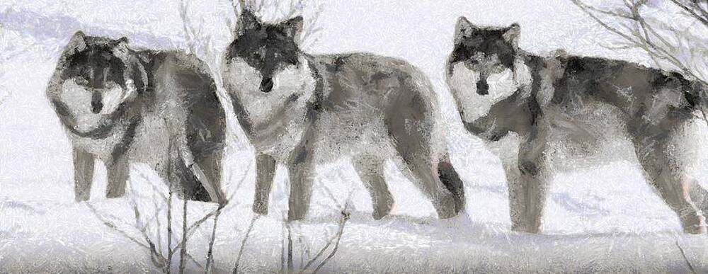 Wolf Fur Paintings Page 3 Of 4 Fine Art America