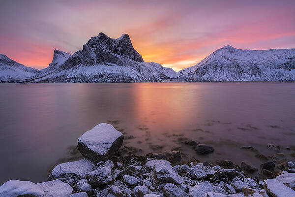 Senja Art for Sale - Fine Art America