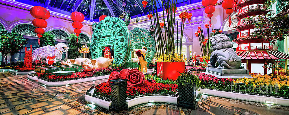 Bellagio Chinese New Year display 2022 - Year of the Tiger 