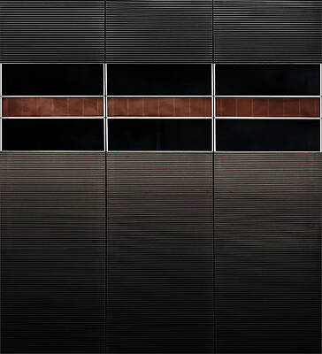 Wall Art - Photograph - Bellezza Foderata by Gilbert Claes