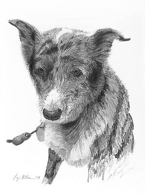 Beloved Pet Dog by Lynn Hansen Beloved Pet Dog by Lynn Hansen