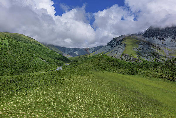 Wall Art - Photograph - Belukha Natural Park. Altai Republic by Olga Kamenskaya / Naturepl.com