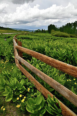 Big Cimarron Road Ranch Scene by Ray Mathis Big Cimarron Road Ranch Scene by Ray Mathis