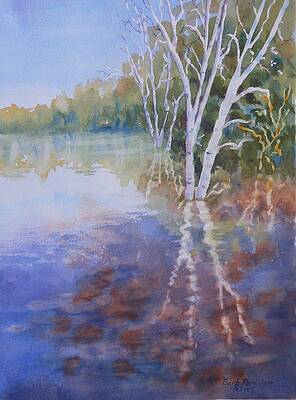 Birch in Water by Barbara Parisien Birch in Water by Barbara Parisien