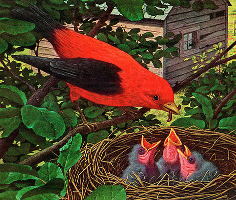 Vector Line Drawing Birds Sitting Tree Stock Vector (Royalty Free)  1423238621 | Shutterstock