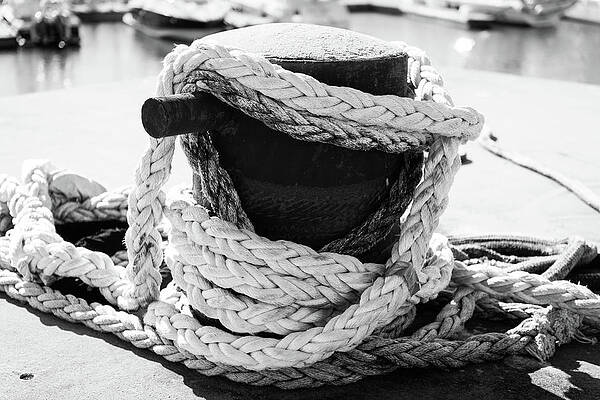 Black and White Abstract of Docking Rope by Tammy Ray Black and White Abstract of Docking Rope by Tammy Ray