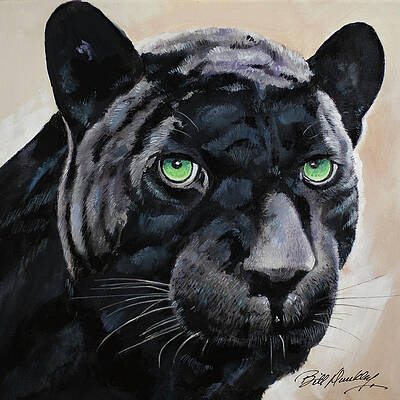 Black Jaguar Paintings Fine Art America