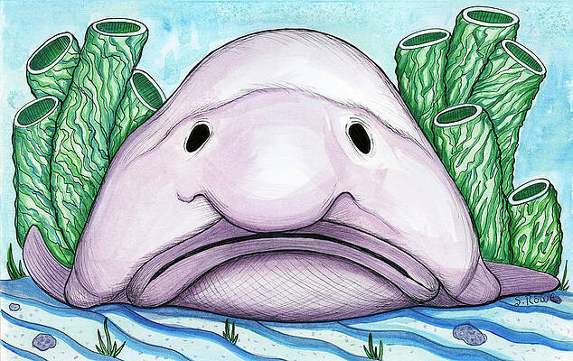 Beautiful Blob Fish | Art Board Print