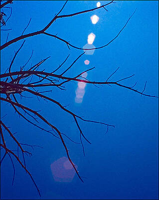 Blue by Christopher Meade Blue by Christopher Meade