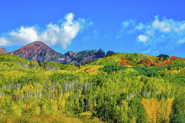 Blue Skies and Vibrant Aspen Trees by DAVE MASTERS Blue Skies and Vibrant Aspen Trees by DAVE MASTERS