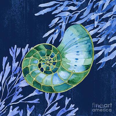 Nautilus Shell Paintings Fine Art America Nautilus Shell Paintings Fine Art America