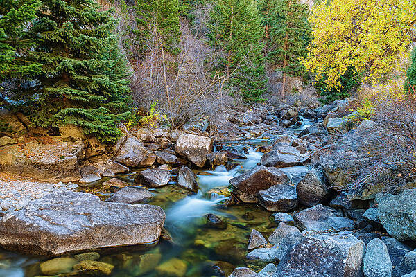 Wall Art - Photograph - Boulder Creek Beauty by James BO Insogna