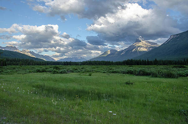 Wall Art - Photograph - Bow Valley Evening by Douglas Wielfaert