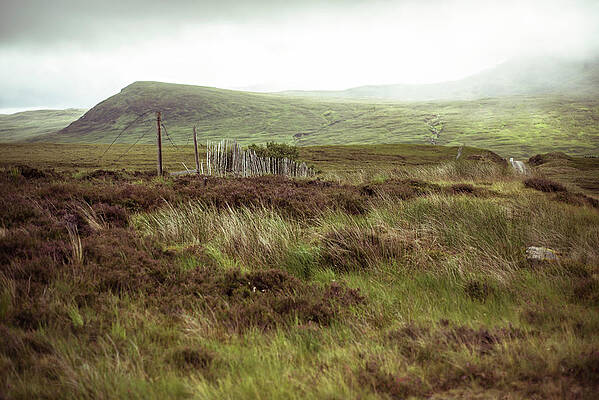 Wall Art - Photograph - Broken Rustic Old Fence Runs Through Remote Misty Mountains by Cavan Images