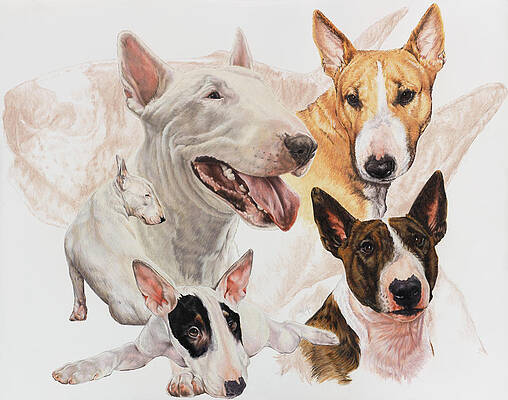 Ghost Dog Paintings Fine Art America