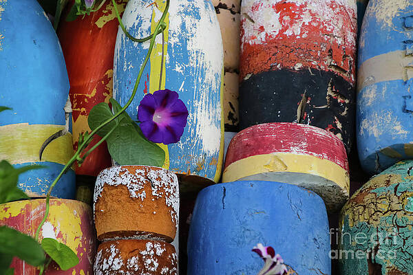Buoy Buoy by Deborah Kittner