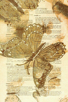Wall Art - Photograph - Butterfly antiquities by Jorgo Photography