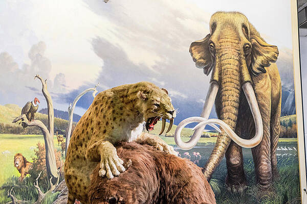 Los Angeles Wall Art featuring the digital art California, Los Angeles, Miracle Mile, La Brea Tar Pits Museum by Giovanni Simeone