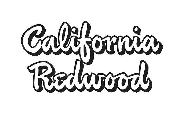 Wall Art - Drawing - California Redwood by CSA Images