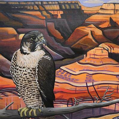 Eagle Rock Paintings Page 4 Of 5 Fine Art America