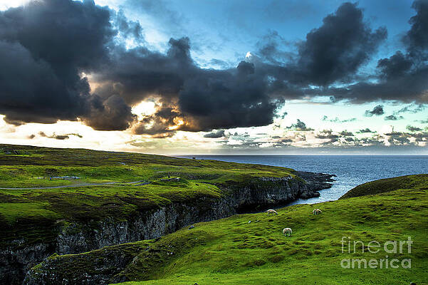 Wall Art - Photograph - Canyon To Smoo Cave With Flock Of Sheep At The Twilight Atlantic Coast Near Durness In Scotland by Andreas Berthold
