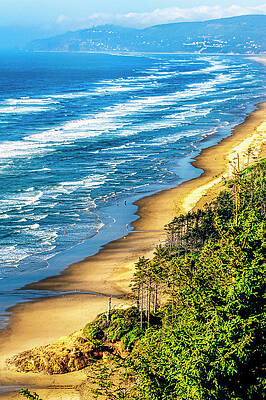 Cape Lookout Oregon 0636 by Amyn Nasser Photographer Cape Lookout Oregon 0636 by Amyn Nasser Photographer