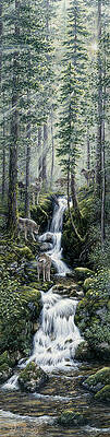 Wolf Wall Art (Page #4 of 35) | Fine Art America