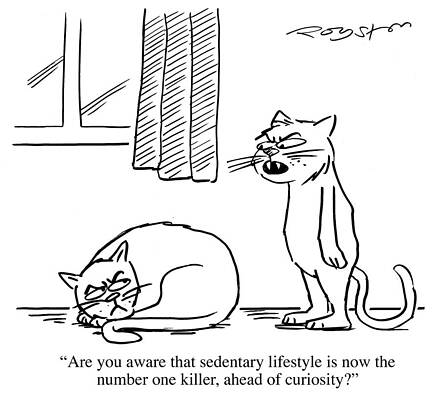 Wall Art - Drawing - Cat Says To Lazy Cat 'are You Aware That Sedentary by Royston Robertson
