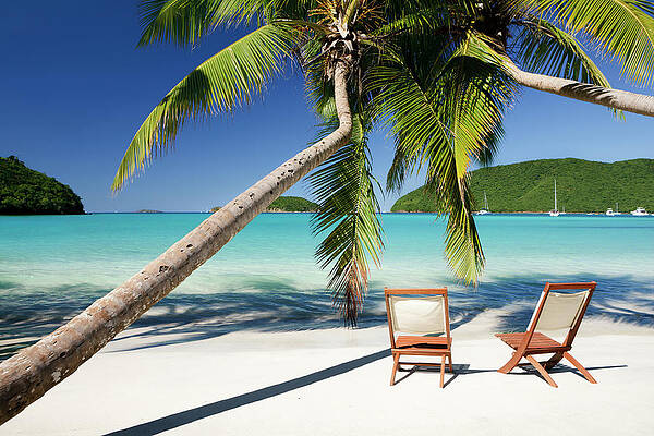 Wall Art - Photograph - Chairs Under Palm Trees At A Beach In by Cdwheatley