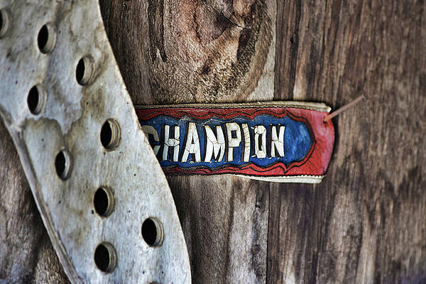 Wall Art - Photograph - Champion by American Landscapes