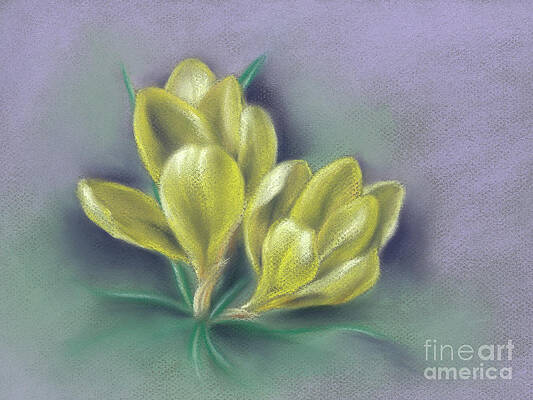 Cheery Yellow Springtime Crocuses by MM Anderson Cheery Yellow Springtime Crocuses by MM Anderson
