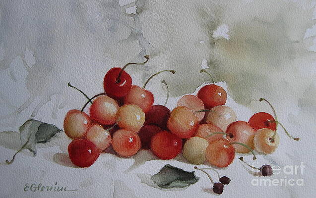 Cherry Paintings Page 16 Of 35 Fine Art America