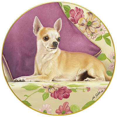 Wall Art - Painting - Chihuahua With Pillow by John Silver