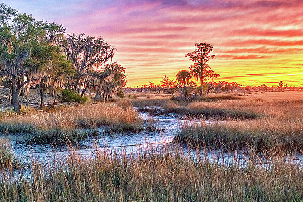 Chisolm Island Marsh Sunset by Scott Hansen Chisolm Island Marsh Sunset by Scott Hansen