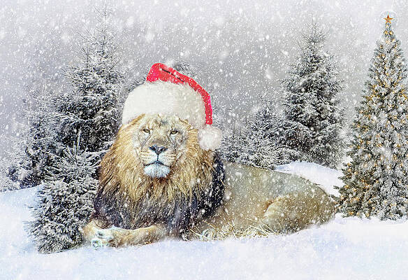 Christmas Lion by Anita Hubbard Christmas Lion by Anita Hubbard