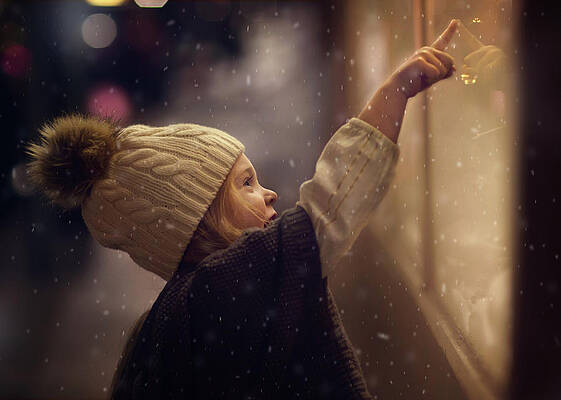 Wall Art - Photograph - Christmas Shopping by Annie Whitehead
