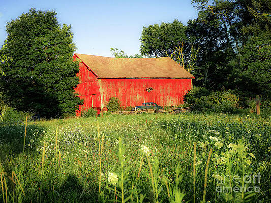 Classic Car and Barn by June Mita Classic Car and Barn by June Mita