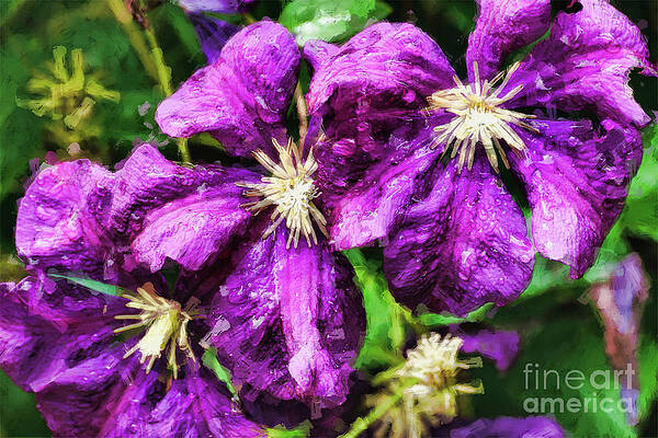 Wall Art - Digital Art - Clematis at Dusk by Bill King