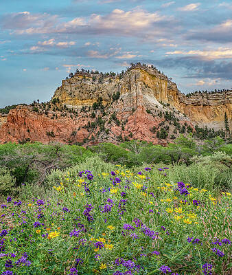 Wall Art - Photograph - Cliffs Near Ghost Ranch by Tim Fitzharris